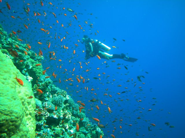 Photograph
